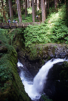Lake Crescent waterfall