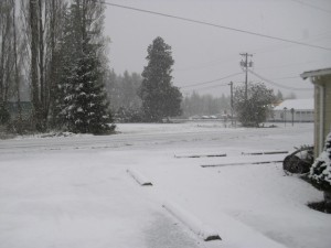 snow