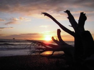 peterson_sunset_3 peterson_sunset_3