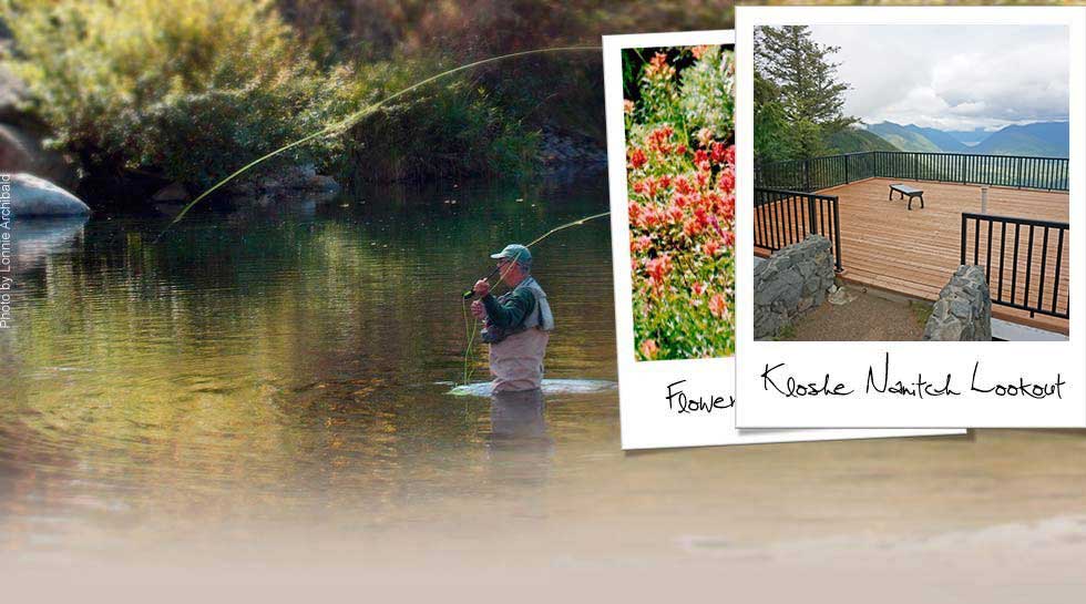 to Forks, and the REST of the Olympic Peninsula! Forks