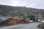 Interfor Pacific
