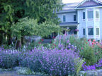 Sea Cliff Gardens Bed and Breakfast