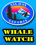 San Juan Safaris Whale Watching
