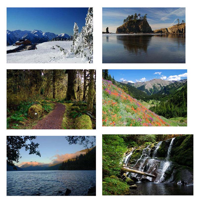 onp diversity images