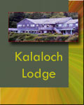 Kalaloch Lodge