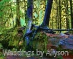 Weddings By Allyson