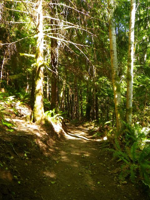 Elk Creek Conservation Area