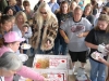 bella-birthday-cake-cutting-2