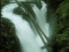 11937706831712633