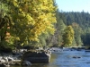 sol-duc-autum