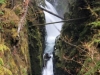 sol-duc-falls-4-26-09-3-web-version