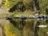 sol-duc-relections