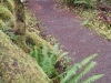 pb060354