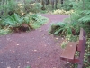 Pioneers' Path Trail