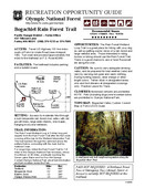 Bogachiel Rain Forest Trail