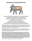 Roosevelt Elk