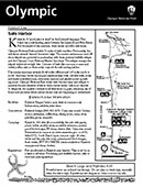 Kalaloch Area