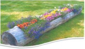 The Bogachiel Garden Club Meetings @ Forks Community Center | Forks | Washington | United States