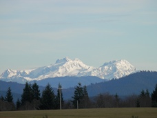 Mountain View Cabins Forks Washington Chamber Of Commerce