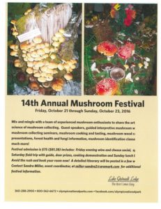 14th Annual Mushroom Festival