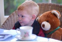 Franklin & Theodore's Teddy Bear Tea Party @ Lake Crescent Lodge