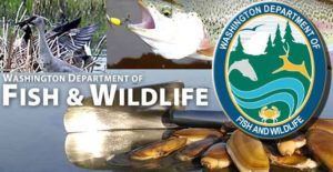 Department of Fish and Wildlife, Management of the State’s Salmon and Steelhead Fishing Guide Industry @ Rainforest Arts Center | Forks | Washington | United States