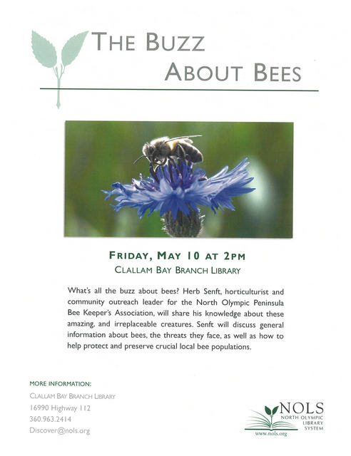 The Buzz About Bees @ Clallam Bay Branch Library | Clallam Bay | Washington | United States