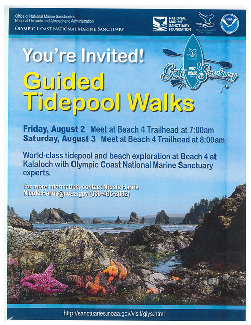 Guided Tidepool Walks @ Beach 4 Trailhead @ Kalaloch | United States