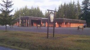 Veterans Drive Through Dinner @ Forks Elk Lodge | Forks | Washington | United States