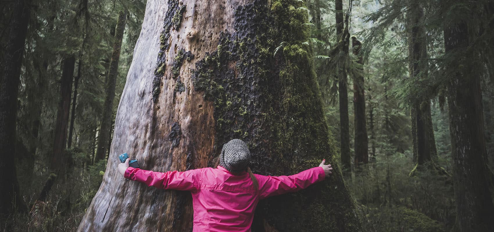 Tree hug