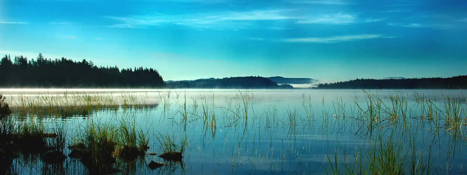 Lake Ozette