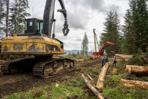 logging tour