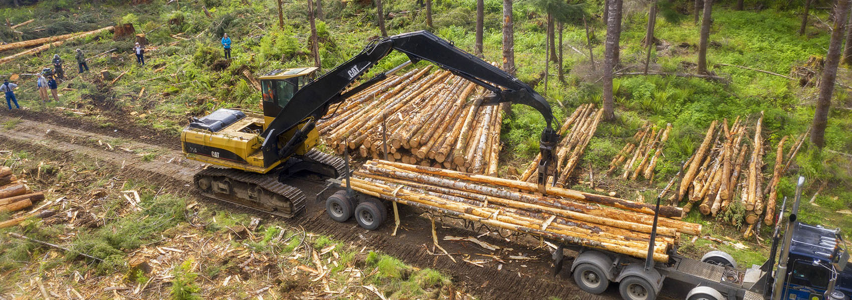 Logging and Mill Tour