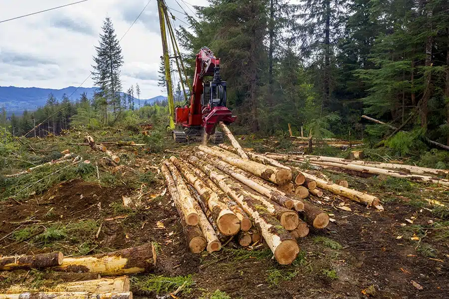 Forks Logging and Mill Tour