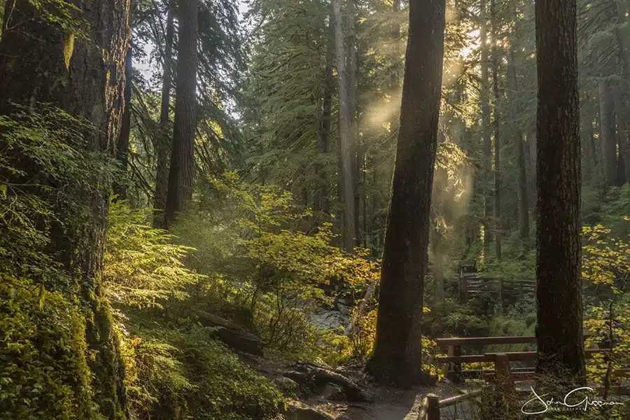 sol duc falls trail