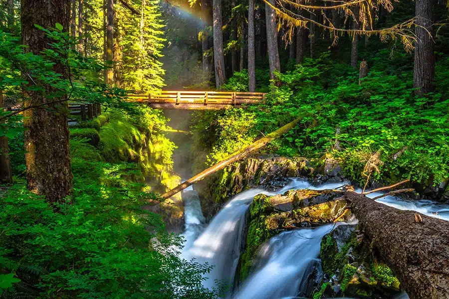 Sol Duc Falls