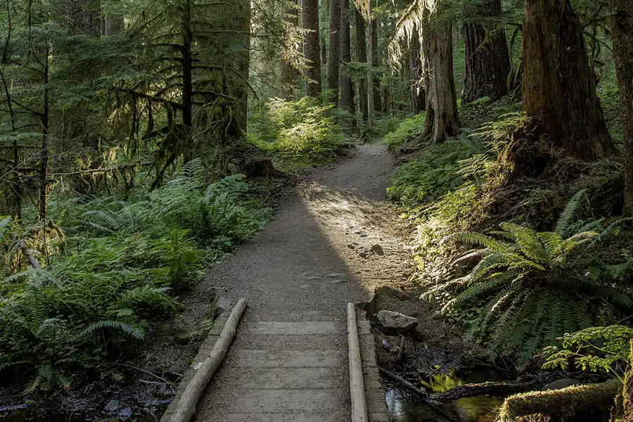 Sol Duc Trail