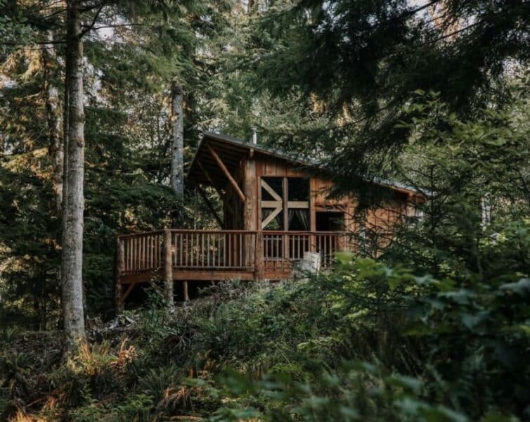 Mossquatch Resort Mossquatch Resort