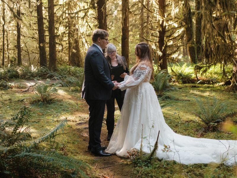 The Cardinals Elopements The Cardinals Elopements